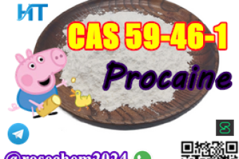 8615355326496 Big Sale Procaine CAS 59461 Samples available